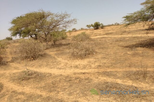 terrain-de-336-hectares-vers-darou-khoudoss-big-1