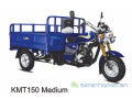tricycle-a-vendre-small-1
