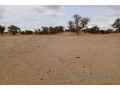 terrain-de-339-hectares-vers-keur-samba-kane-small-0