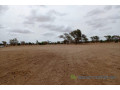 terrain-de-339-hectares-vers-keur-samba-kane-small-1