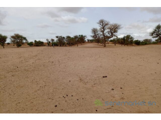 Terrain de 3,39 hectares vers Keur Samba Kane