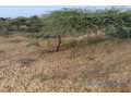 terrain-de-339-hectares-vers-leona-small-1