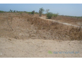 Terrain de 3,39 hectares vers Leona