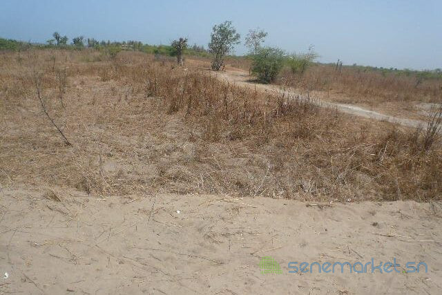 terrain-de-339-hectares-vers-leona-big-0