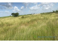 terrain-de-34-hectares-vers-malicounda-small-1