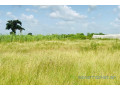 terrain-de-34-hectares-vers-malicounda-small-2
