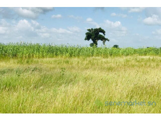 Terrain de 3,4 hectares vers Malicounda