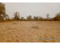 terrain-de-342-hectares-vers-keur-samba-kane-small-2