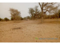 terrain-de-342-hectares-vers-keur-samba-kane-small-1