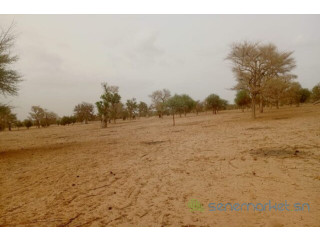 Terrain de 3,42 hectares vers Keur Samba Kane