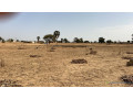 terrain-de-300-metres-carres-a-vendre-a-louly-senegal-small-3