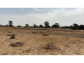 terrain-de-300-metres-carres-a-vendre-a-louly-senegal-small-2