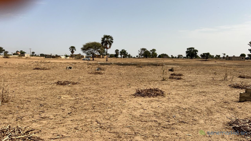 terrain-de-300-metres-carres-a-vendre-a-louly-senegal-big-3