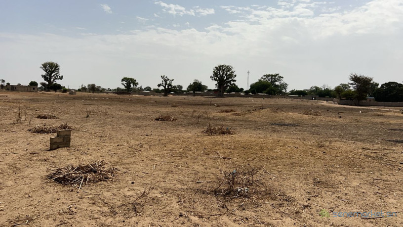 terrain-de-300-metres-carres-a-vendre-a-louly-senegal-big-2