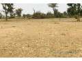 terrain-de-35-hectares-vers-fandene-small-2
