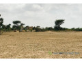 terrain-de-35-hectares-vers-fandene-small-1