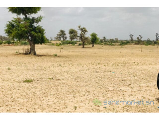 Terrain de 3,5 hectares vers Fandéne
