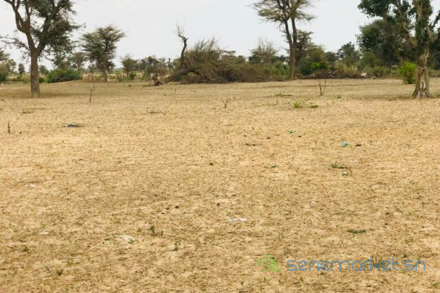terrain-de-35-hectares-vers-fandene-big-2