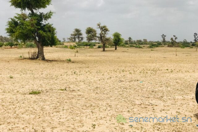 terrain-de-35-hectares-vers-fandene-big-0
