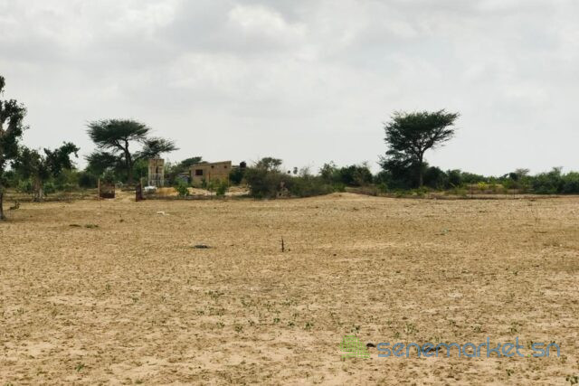 terrain-de-35-hectares-vers-fandene-big-1