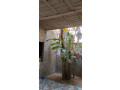 maison-a-vendre-small-1