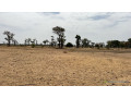 terrains-agricoles-de-8-hectares-a-vendre-a-louly-senegal-small-1