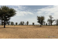terrains-agricoles-de-8-hectares-a-vendre-a-louly-senegal-small-2