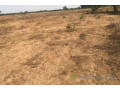 terrain-de-354-hectares-vers-toubacouta-small-1