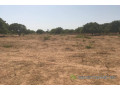 terrain-de-354-hectares-vers-toubacouta-small-2