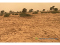 terrain-de-363-hectares-vers-thienaba-small-0