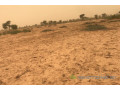 terrain-de-363-hectares-vers-thienaba-small-2