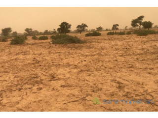 Terrain de 3,63 hectares vers Thiénaba