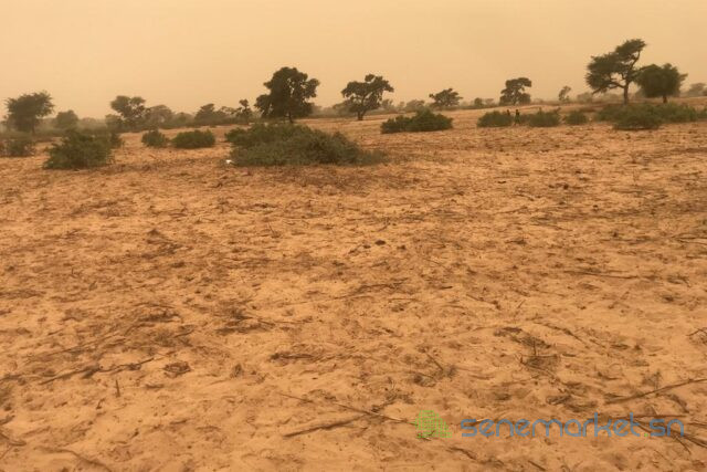 terrain-de-363-hectares-vers-thienaba-big-0