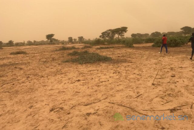 terrain-de-363-hectares-vers-thienaba-big-1