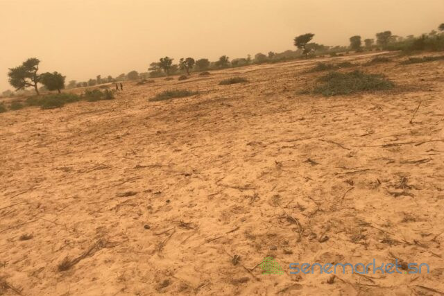 terrain-de-363-hectares-vers-thienaba-big-2