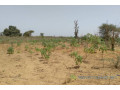 terrain-de-379-hectares-vers-sindia-small-1