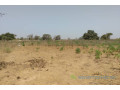 terrain-de-379-hectares-vers-sindia-small-0