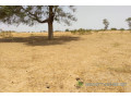 terrain-de-384-hectares-vers-patar-small-1