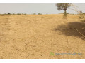 terrain-de-384-hectares-vers-patar-small-2