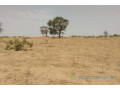 terrain-de-384-hectares-vers-patar-small-0