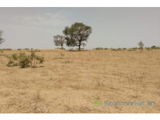 Terrain de 3,84 hectares vers Patar