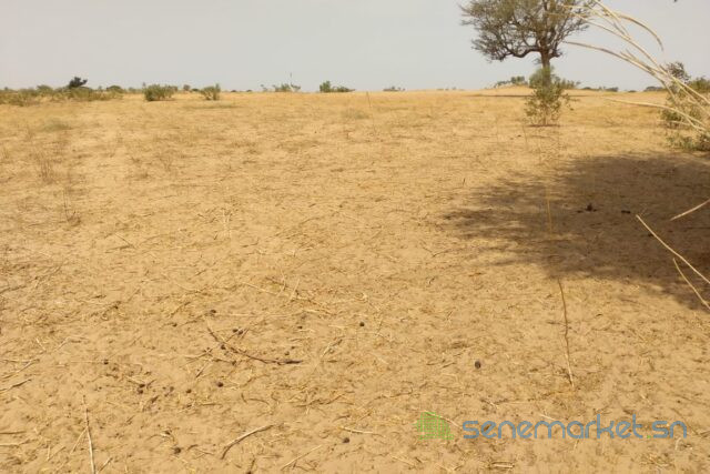 terrain-de-384-hectares-vers-patar-big-2