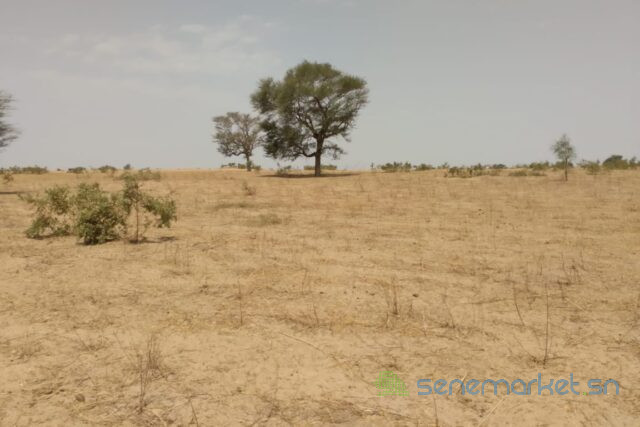 terrain-de-384-hectares-vers-patar-big-0