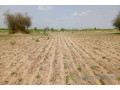 terrain-de-383-hectares-vers-guinguineo-small-2