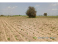 terrain-de-383-hectares-vers-guinguineo-small-1