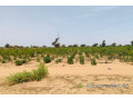 terrain-de-394-hectares-vers-fandene-small-2