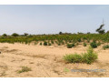terrain-de-394-hectares-vers-fandene-small-0