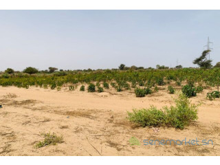 Terrain de 3,94 hectares vers Fandéne