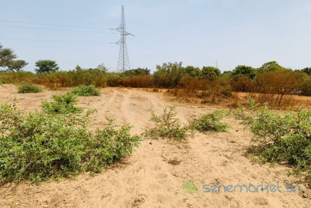 terrain-de-394-hectares-vers-fandene-big-1