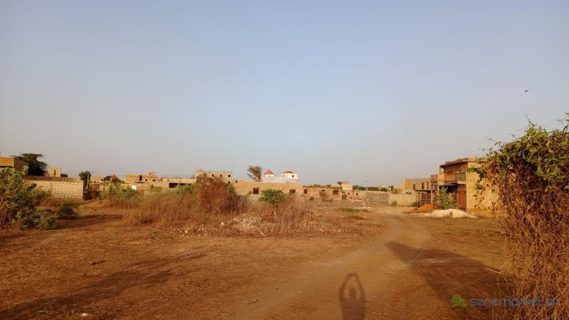 terrain-de-290-metres-carres-a-vendre-a-gandigal-senegal-big-1